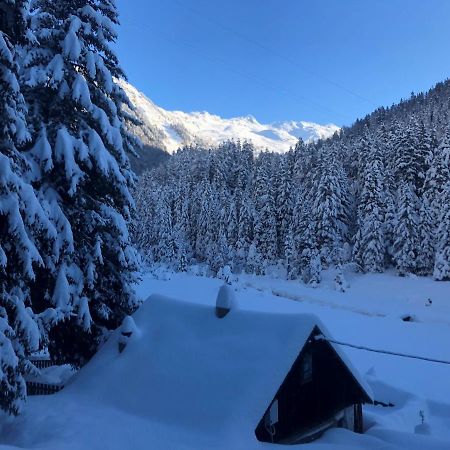 Alpapart - Innsbruck Ellbögen Dış mekan fotoğraf