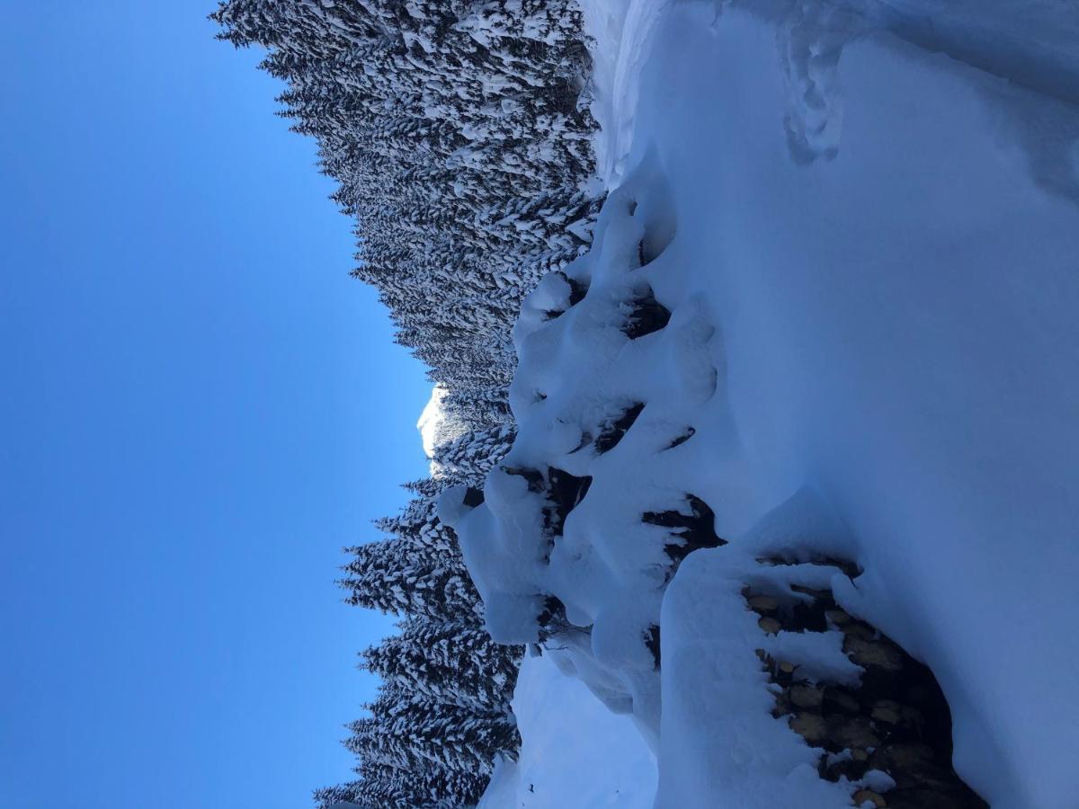 Alpapart - Innsbruck Ellbögen Dış mekan fotoğraf