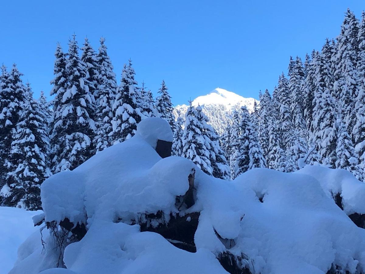 Alpapart - Innsbruck Ellbögen Dış mekan fotoğraf