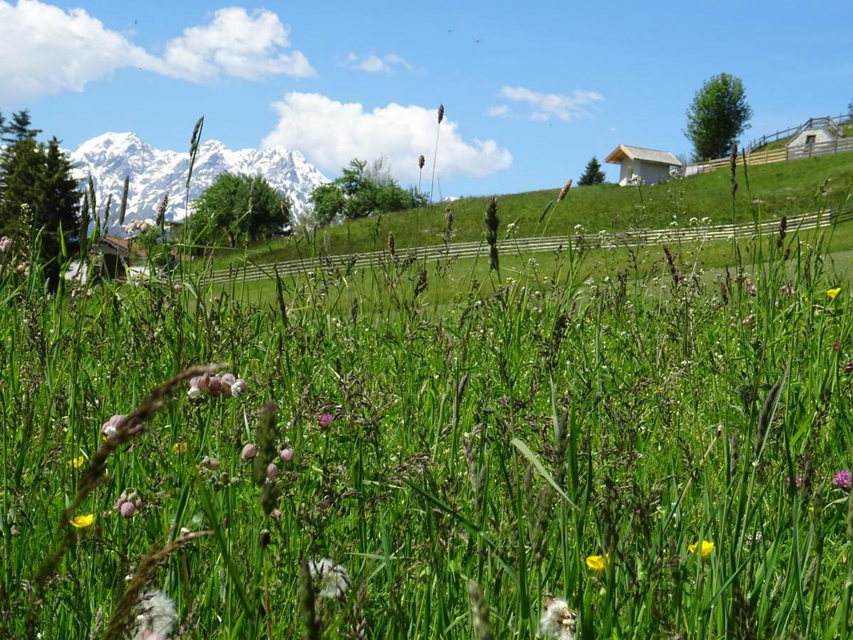 Alpapart - Innsbruck Ellbögen Dış mekan fotoğraf